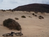 lapas_lanzarote_13
