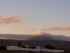 lapas_quer_26